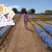 ヒメ日記 2026/05/07 08:47 投稿 みのり 佐賀人妻デリヘル 「デリ夫人」