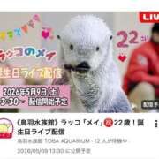 ヒメ日記 2026/05/09 06:08 投稿 みのり 佐賀人妻デリヘル 「デリ夫人」
