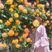 ヒメ日記 2026/05/16 15:22 投稿 みのり 佐賀人妻デリヘル 「デリ夫人」