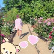 ヒメ日記 2026/05/18 18:42 投稿 みのり 佐賀人妻デリヘル 「デリ夫人」
