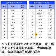 ヒメ日記 2026/05/19 21:10 投稿 みのり 佐賀人妻デリヘル 「デリ夫人」