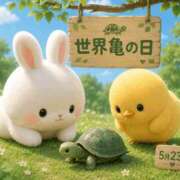 ヒメ日記 2026/05/23 08:19 投稿 みのり 佐賀人妻デリヘル 「デリ夫人」