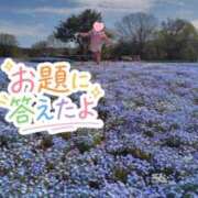 ヒメ日記 2026/05/23 10:27 投稿 みのり 佐賀人妻デリヘル 「デリ夫人」