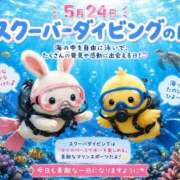 ヒメ日記 2026/05/24 09:28 投稿 みのり 佐賀人妻デリヘル 「デリ夫人」