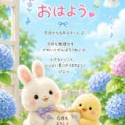 ヒメ日記 2026/06/01 06:25 投稿 みのり 佐賀人妻デリヘル 「デリ夫人」