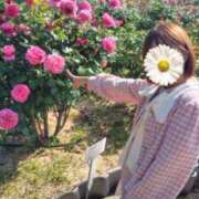 ヒメ日記 2026/06/12 01:40 投稿 みのり 佐賀人妻デリヘル 「デリ夫人」