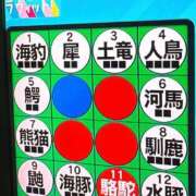 ヒメ日記 2026/06/18 08:47 投稿 みのり 佐賀人妻デリヘル 「デリ夫人」
