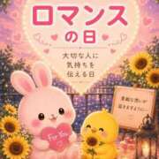 ヒメ日記 2026/06/19 08:49 投稿 みのり 佐賀人妻デリヘル 「デリ夫人」