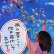 ヒメ日記 2026/06/23 11:43 投稿 みのり 佐賀人妻デリヘル 「デリ夫人」