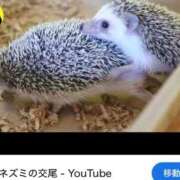 ヒメ日記 2026/07/01 14:27 投稿 みのり 佐賀人妻デリヘル 「デリ夫人」