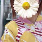 ヒメ日記 2026/07/09 00:37 投稿 みのり 佐賀人妻デリヘル 「デリ夫人」