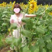 ヒメ日記 2026/07/17 00:36 投稿 みのり 佐賀人妻デリヘル 「デリ夫人」