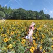 ヒメ日記 2026/08/07 06:16 投稿 みのり 佐賀人妻デリヘル 「デリ夫人」