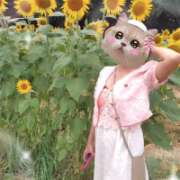 ヒメ日記 2026/08/13 00:27 投稿 みのり 佐賀人妻デリヘル 「デリ夫人」