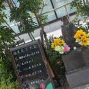 ヒメ日記 2026/08/13 01:39 投稿 みのり 佐賀人妻デリヘル 「デリ夫人」