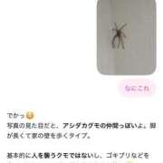 ヒメ日記 2026/08/25 00:50 投稿 みのり 佐賀人妻デリヘル 「デリ夫人」