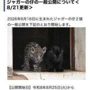 ヒメ日記 2026/08/25 10:28 投稿 みのり 佐賀人妻デリヘル 「デリ夫人」