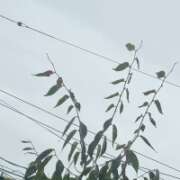 ヒメ日記 2026/09/04 09:36 投稿 みのり 佐賀人妻デリヘル 「デリ夫人」