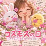 ヒメ日記 2026/09/14 08:22 投稿 みのり 佐賀人妻デリヘル 「デリ夫人」