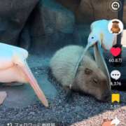 ヒメ日記 2026/09/17 06:46 投稿 みのり 佐賀人妻デリヘル 「デリ夫人」