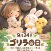 ヒメ日記 2026/09/24 08:16 投稿 みのり 佐賀人妻デリヘル 「デリ夫人」