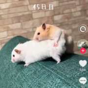 ヒメ日記 2026/10/05 07:43 投稿 みのり 佐賀人妻デリヘル 「デリ夫人」