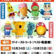 ヒメ日記 2026/10/06 12:46 投稿 みのり 佐賀人妻デリヘル 「デリ夫人」