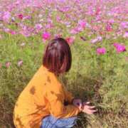 ヒメ日記 2026/10/12 02:01 投稿 みのり 佐賀人妻デリヘル 「デリ夫人」