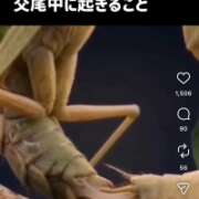 ヒメ日記 2026/10/16 10:46 投稿 みのり 佐賀人妻デリヘル 「デリ夫人」