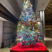 ヒメ日記 2025/12/25 12:29 投稿 神楽 愛 東京貴楼館