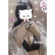 ヒメ日記 2025/04/01 11:56 投稿 まどか スピードエコ難波店