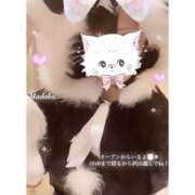 ヒメ日記 2025/04/07 08:32 投稿 まどか スピードエコ難波店