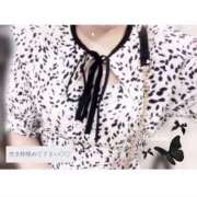 ヒメ日記 2025/05/31 08:32 投稿 まどか スピードエコ難波店