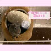 ヒメ日記 2026/03/11 13:02 投稿 まどか スピードエコ難波店