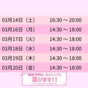 ヒメ日記 2026/03/14 17:37 投稿 まどか スピードエコ難波店