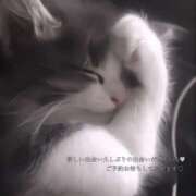 まどか まどか（エコ難波店） スピードエコ難波店