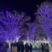 ヒメ日記 2025/11/07 09:06 投稿 のあ『ガール』 ディオーネ