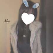 ヒメ日記 2025/11/20 15:21 投稿 のあ『ガール』 ディオーネ