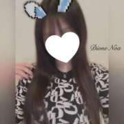 ヒメ日記 2026/02/07 23:19 投稿 のあ『ガール』 ディオーネ