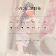 ヒメ日記 2026/07/13 08:41 投稿 のあ『ガール』 ディオーネ
