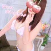 ヒメ日記 2025/02/16 12:47 投稿 くらん ジャパンクラブ富士