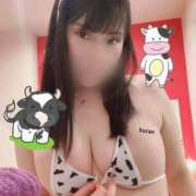 ヒメ日記 2025/12/30 06:15 投稿 くらん ジャパンクラブ富士