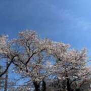 ヒメ日記 2026/04/11 18:15 投稿 うみ 卒業したて。