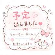 ヒメ日記 2026/06/08 20:55 投稿 うみ 卒業したて。