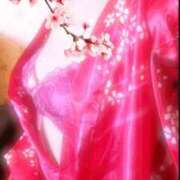 ヒメ日記 2026/04/17 23:41 投稿 桑原　ゆみせ エテルナ京都