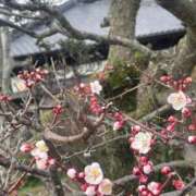 ヒメ日記 2026/03/04 14:18 投稿 ちあき 熟女の風俗最終章 高崎店