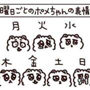 ヒメ日記 2025/01/09 14:45 投稿 ねね ときめき女学院(大宮校)