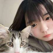 ヒメ日記 2025/11/03 07:03 投稿 まゆ SCREEN(スクリーン)