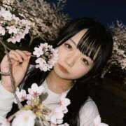 ヒメ日記 2026/04/13 18:48 投稿 まゆ SCREEN(スクリーン)