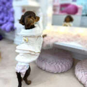 ヒメ日記 2025/03/02 07:36 投稿 えな モアグループ熊谷人妻花壇